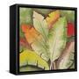 Banana Tree Leaves-Ormsby, Anne Ormsby-Framed Stretched Canvas