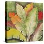 Banana Tree Leaves-Ormsby, Anne Ormsby-Stretched Canvas