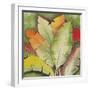 Banana Tree Leaves-Ormsby, Anne Ormsby-Framed Art Print