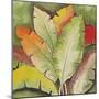 Banana Tree Leaves-Ormsby, Anne Ormsby-Mounted Art Print