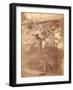 Banana Tree, Pennsylvania Centennial Exhibition, 1876-null-Framed Giclee Print