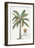 Banana Tree-Porter Design-Framed Giclee Print