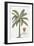 Banana Tree-Porter Design-Framed Giclee Print