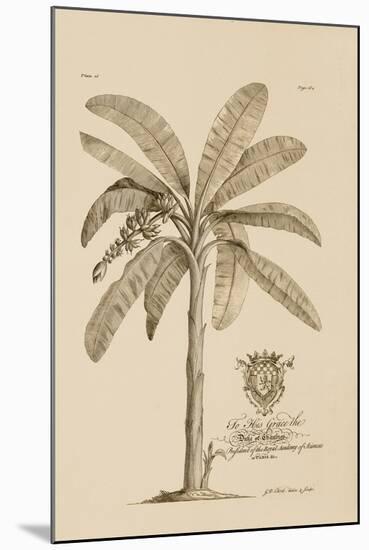 Banana Tree-Porter Design-Mounted Giclee Print
