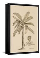 Banana Tree-Porter Design-Framed Stretched Canvas