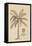 Banana Tree-Porter Design-Framed Stretched Canvas