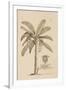 Banana Tree-Porter Design-Framed Giclee Print