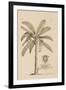 Banana Tree-Porter Design-Framed Giclee Print