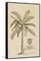 Banana Tree-Porter Design-Framed Stretched Canvas