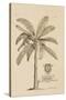 Banana Tree-Porter Design-Stretched Canvas