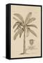 Banana Tree-Porter Design-Framed Stretched Canvas