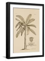 Banana Tree-Porter Design-Framed Giclee Print