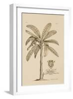 Banana Tree-Porter Design-Framed Giclee Print