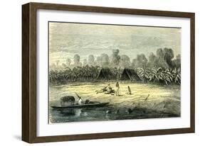 Banana Trees 1869 Peru-null-Framed Giclee Print