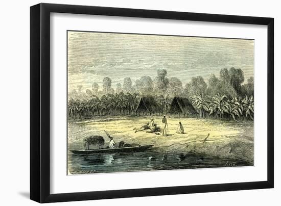 Banana Trees 1869 Peru-null-Framed Giclee Print