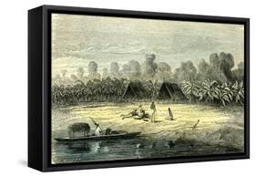 Banana Trees 1869 Peru-null-Framed Stretched Canvas