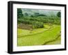 Banana Trees and Rice Paddies, Honghe, Yunnan Province, China-Charles Crust-Framed Photographic Print