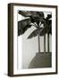 Banana Trees-George Cannon-Framed Photographic Print