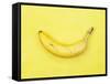 Banana-null-Framed Stretched Canvas