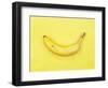 Banana-null-Framed Photographic Print