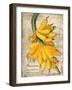 Banana-Kate Ward Thacker-Framed Giclee Print