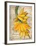 Banana-Kate Ward Thacker-Framed Giclee Print