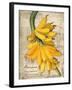 Banana-Kate Ward Thacker-Framed Giclee Print