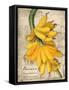 Banana-Kate Ward Thacker-Framed Stretched Canvas