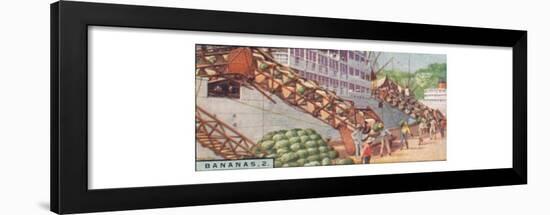 'Bananas 2. - Loading a Steamship, Costa Rica', 1928-Unknown-Framed Giclee Print