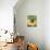 Bananas and Green Beans at the Market, Martinique, Lesser Antilles-Yadid Levy-Photographic Print displayed on a wall