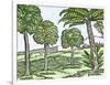 Bananas and Other Fruit Trees of Hispaniola, from a Sketch Published in 1572-null-Framed Giclee Print