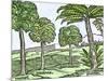 Bananas and Other Fruit Trees of Hispaniola, from a Sketch Published in 1572-null-Mounted Giclee Print