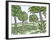 Bananas and Other Fruit Trees of Hispaniola, from a Sketch Published in 1572-null-Framed Giclee Print