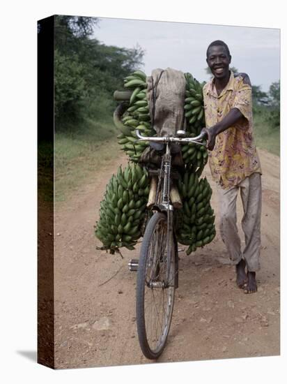 Bananas are Grown Everywhere in Uganda-Nigel Pavitt-Stretched Canvas