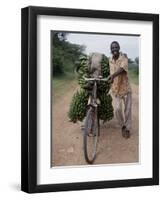 Bananas are Grown Everywhere in Uganda-Nigel Pavitt-Framed Photographic Print