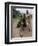 Bananas are Grown Everywhere in Uganda-Nigel Pavitt-Framed Photographic Print