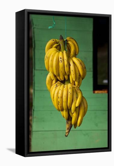 Bananas at a Fruit Stand in Dominican Republic-Paul Souders-Framed Stretched Canvas