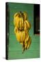 Bananas at a Fruit Stand in Dominican Republic-Paul Souders-Stretched Canvas