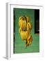 Bananas at a Fruit Stand in Dominican Republic-Paul Souders-Framed Premium Photographic Print