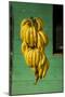 Bananas at a Fruit Stand in Dominican Republic-Paul Souders-Mounted Premium Photographic Print