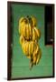 Bananas at a Fruit Stand in Dominican Republic-Paul Souders-Framed Premium Photographic Print