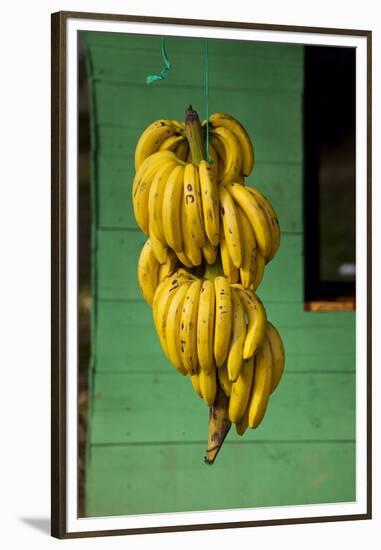 Bananas at a Fruit Stand in Dominican Republic-Paul Souders-Framed Premium Photographic Print