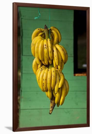 Bananas at a Fruit Stand in Dominican Republic-Paul Souders-Framed Premium Photographic Print