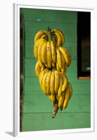 Bananas at a Fruit Stand in Dominican Republic-Paul Souders-Framed Premium Photographic Print