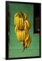 Bananas at a Fruit Stand in Dominican Republic-Paul Souders-Framed Premium Photographic Print