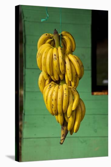 Bananas at a Fruit Stand in Dominican Republic-Paul Souders-Stretched Canvas