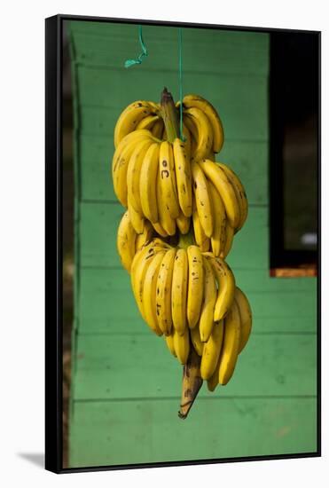 Bananas at a Fruit Stand in Dominican Republic-Paul Souders-Framed Stretched Canvas