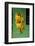 Bananas at a Fruit Stand in Dominican Republic-Paul Souders-Framed Premium Photographic Print