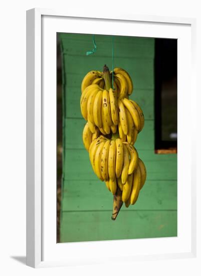 Bananas at a Fruit Stand in Dominican Republic-Paul Souders-Framed Photographic Print