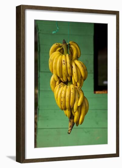 Bananas at a Fruit Stand in Dominican Republic-Paul Souders-Framed Photographic Print